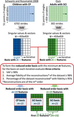 Derivation of the Gait Deviation Index for Spinal Cord Injury